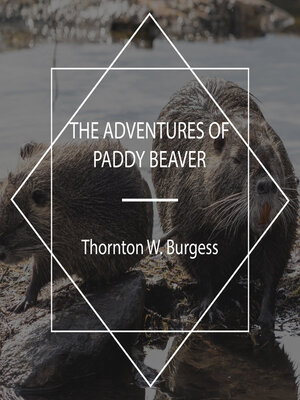 cover image of The Adventures of Paddy Beaver